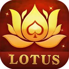 teen patti mashtar download